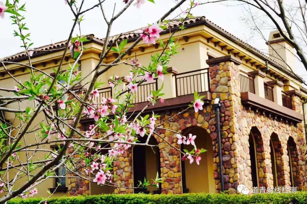 X����̽��ʵʱ������ϵͳ